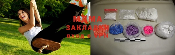 хмурый Аркадак