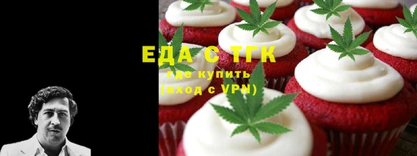 хмурый Аркадак