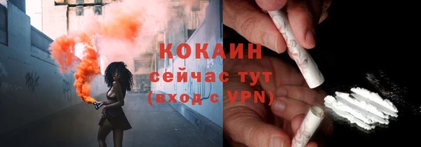 хмурый Аркадак