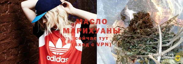 хмурый Аркадак