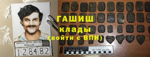 хмурый Аркадак