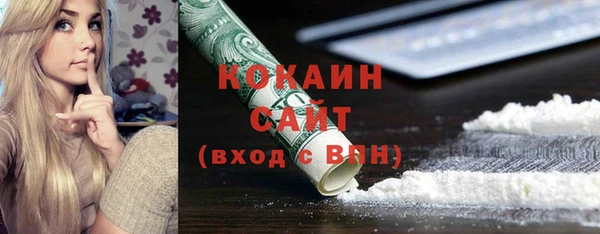 хмурый Аркадак